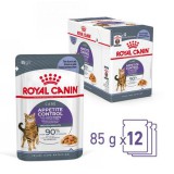 Royal Canin Appetite Control Care - Zselés nedves táp felnőtt macskák részére az étvágy szabályozásának segítésére (48 x 85 g) 4.08kg