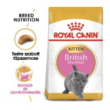 Royal Canin British Shorthair Kitten - Brit rövidszőrű kölyök macska száraz táp 2 kg