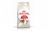 ROYAL CANIN FIT - aktív felnőtt macska száraz táp 0,4 kg