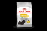 ROYAL CANIN MINI DERMACOMFORT - száraz táp bőrirritációra hajlamos, kistestű felnőtt kutyák részére 1 kg