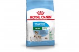 ROYAL CANIN MINI STARTER - száraz táp vemhes szuka és kistestű kölyök kutya részére 8 kg
