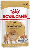 Royal Canin Pomeranian Adult - Pomerániai törpespicc felnőtt kutya nedves táp (48 x 85 g) 4.08kg