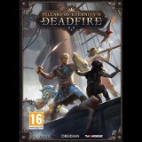 THQ Pillars of Eternity II: Deadfire (PC -  Dobozos játék)