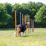 Trixie Dog Activity agility szlalom szett (12 rúd; Magasság: 115 cm; Átmérő: 3 cm)