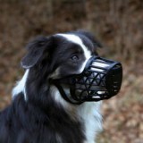 TRIXIE Kutya szájkosár, műanyag - M/L nagyság, 26 cm