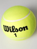 Wilson  Teniszlabda X2096U